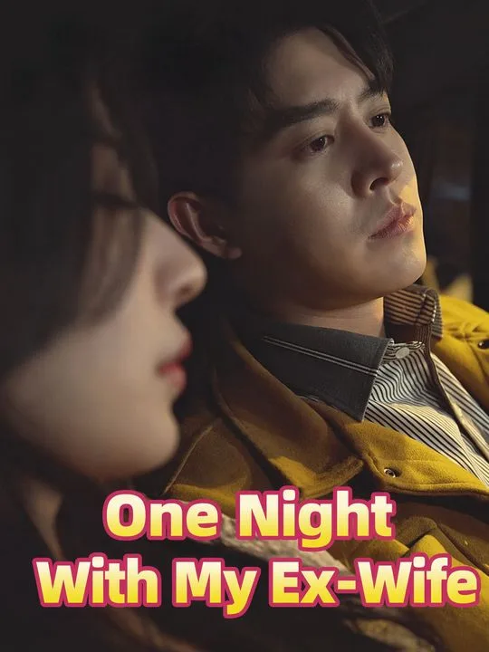 One Night With My Ex-Wife