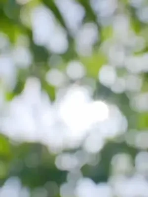 Hidden Blade