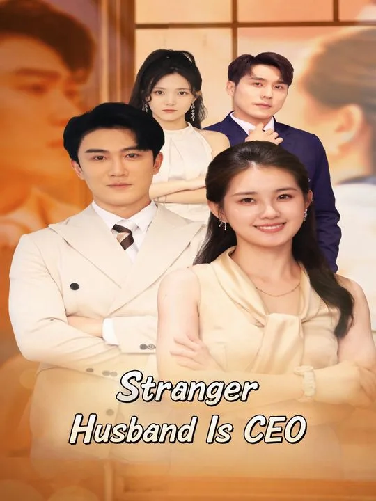Stranger Husband Is CEO
