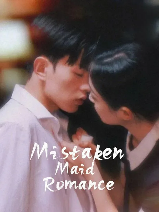 Mistaken Maid Romance