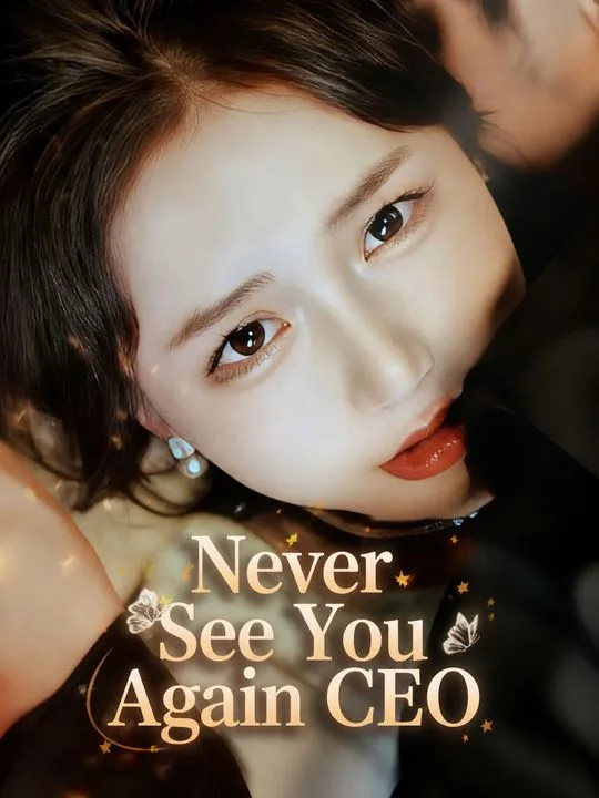 Never See You Again CEO