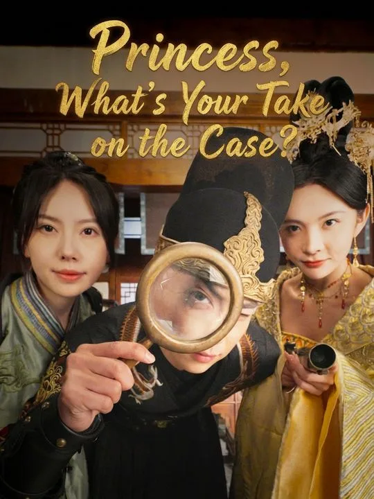 Princess, What's Your Take on the Case?