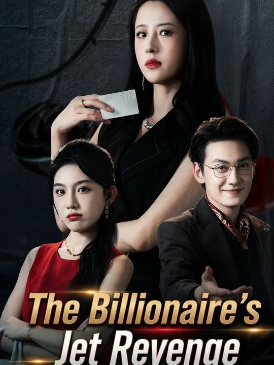 The Billionaire's Jet Revenge