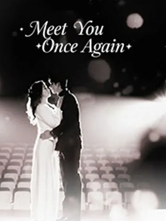 Meet You Once Again