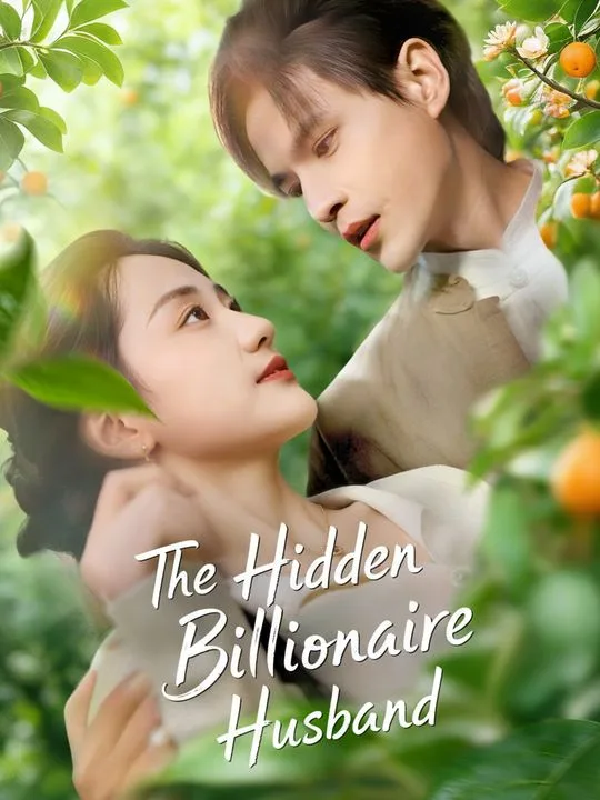The Hidden Billionaire Husband