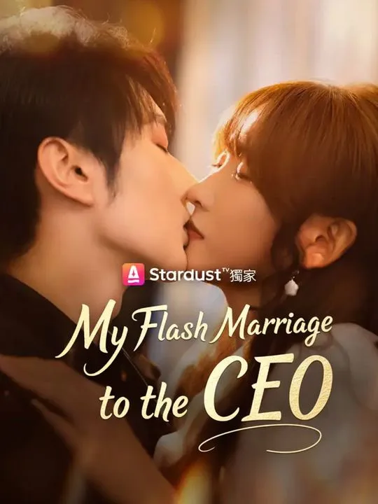 My Flash Marriage to the CEO