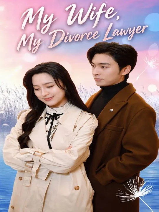 My Wife, My Divorce Lawyer