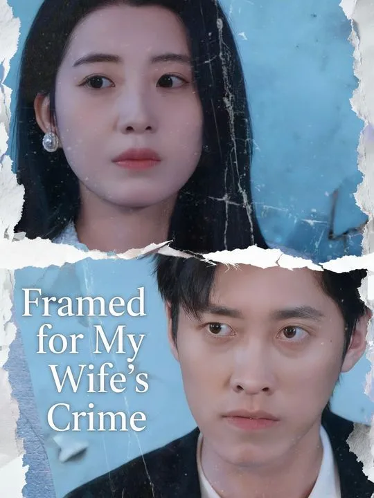 Framed for My Wife's Crime