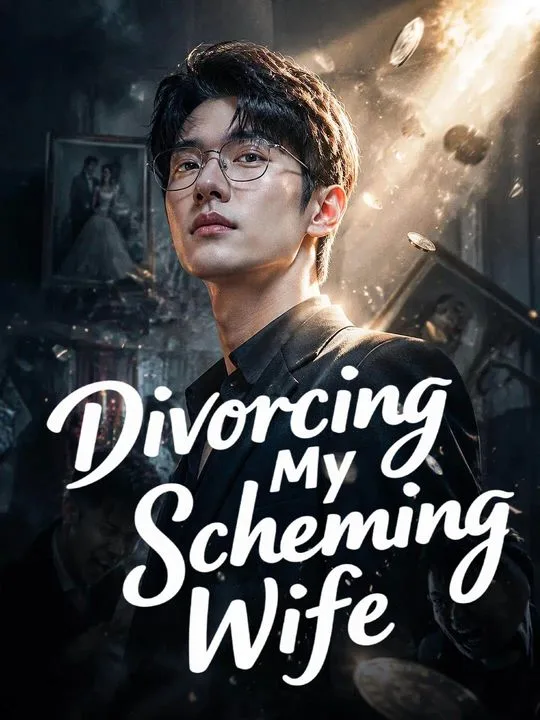 Divorcing My Scheming Wife
