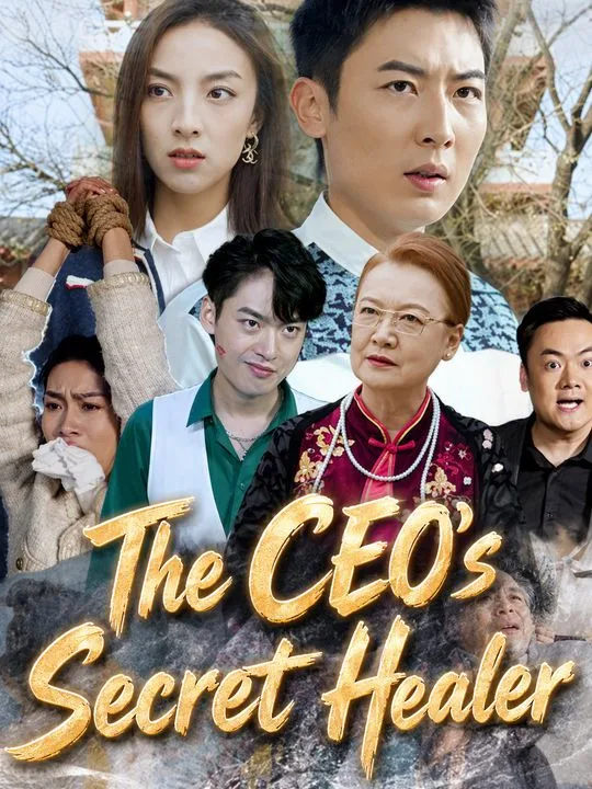 The CEO's Secret Healer