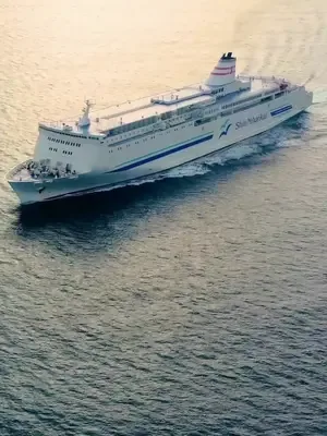Adanın tek erkeği