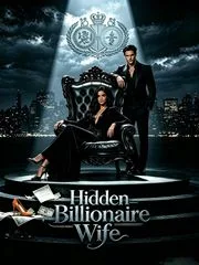 Hidden Billionaire Wife