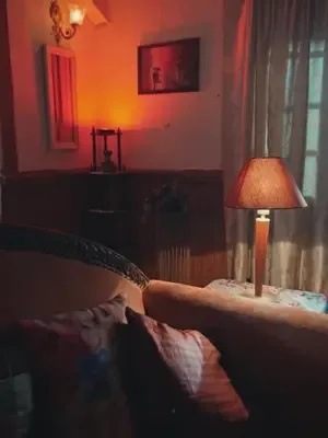 Wife by Day, Spy in the Dark