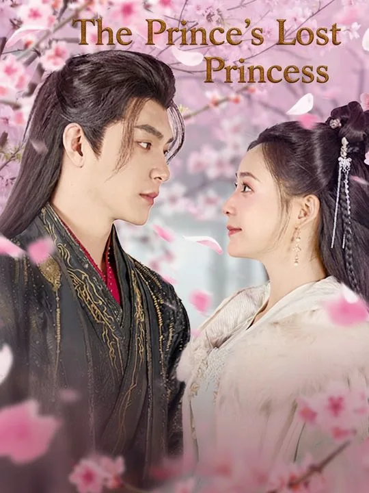 The Prince's Lost Princess