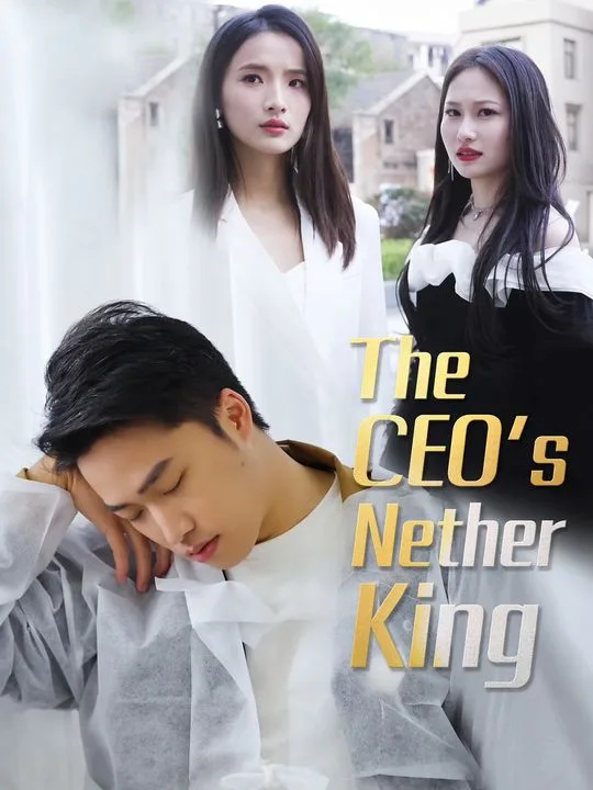 The CEO's Nether King