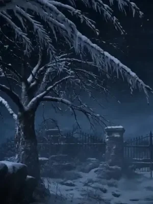 Daughter of the Snow Country