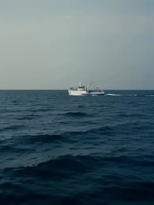 The Fishing King's Homecoming