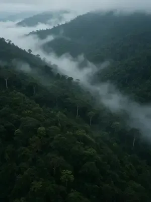 Murka Sang Penjaga