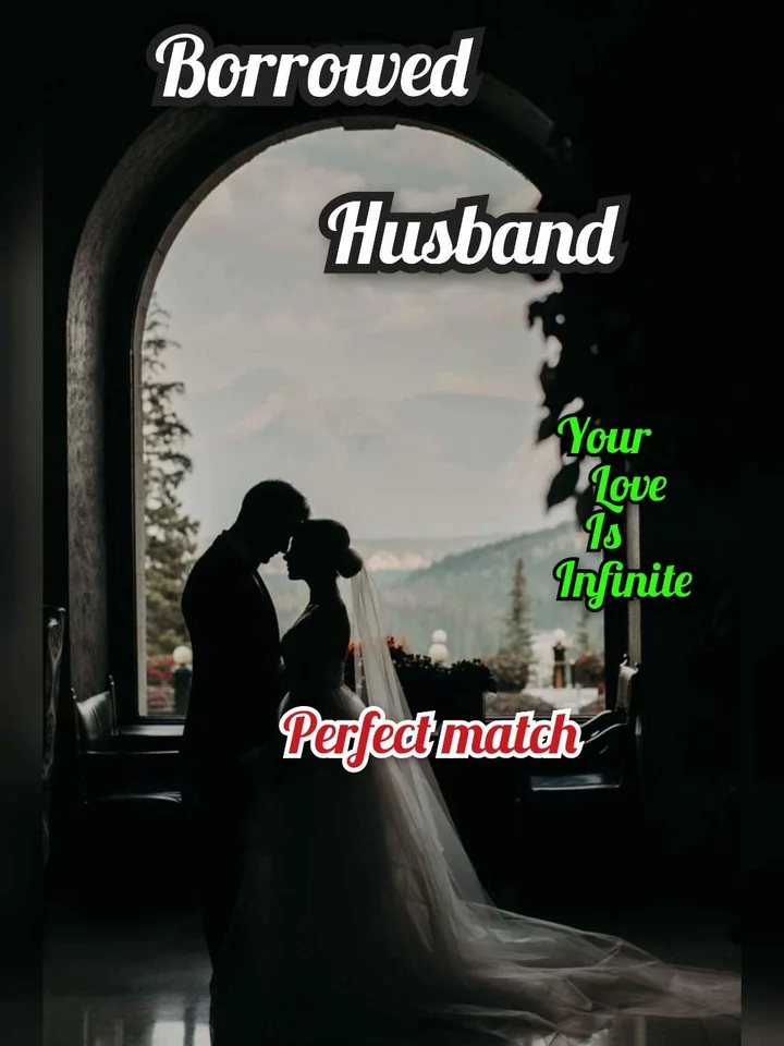 Borrowed Husband
