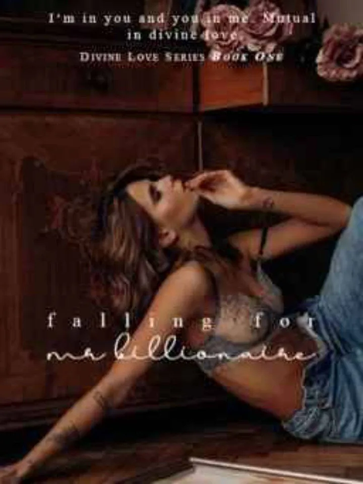 Falling for Mr Billionaire Series Story