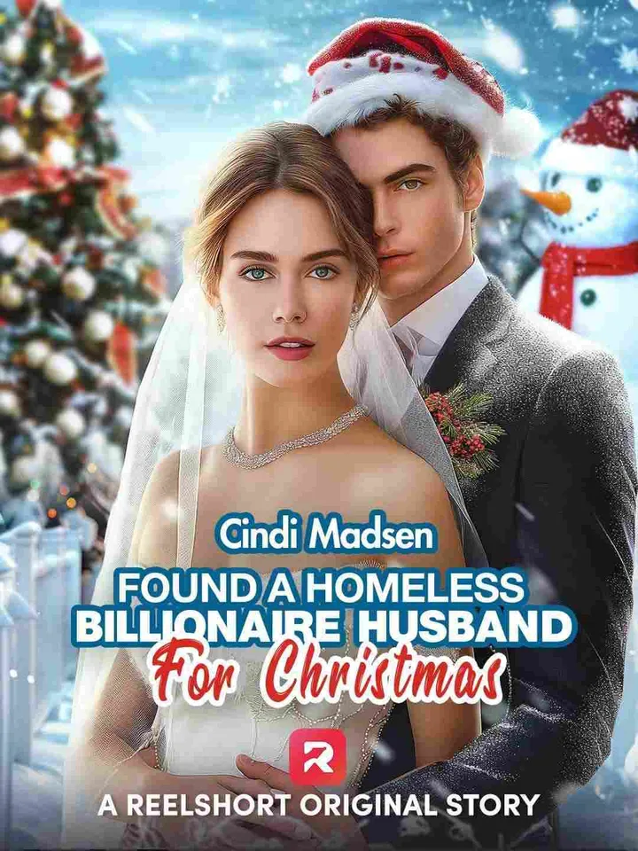 Found a Homeless Billionaire Husband for Christmas