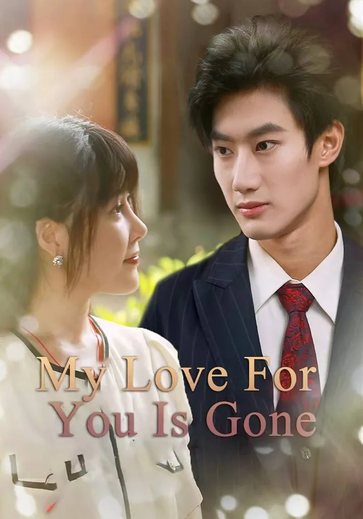 My Love For You Is Gone